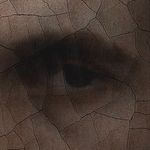 Profile Picture of ADAM 9 (@adam.nineee) on Instagram