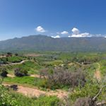 Profile Picture of Michael Petrovich (@michaelpetrovich805) on Instagram