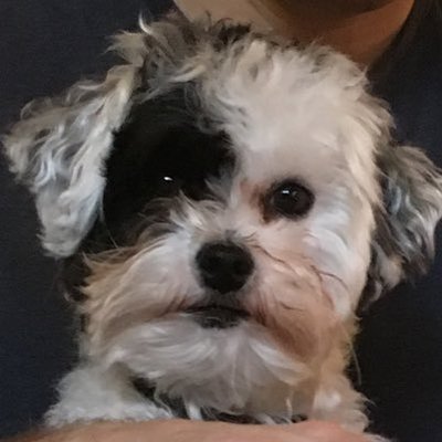 Profile Picture of Colby Keyser (@ckeyser) on Twitter