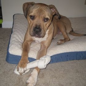 Profile Picture of Karli Klein (@karlik11) on Pinterest