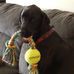 Profile Picture of Colingham Moorer (Cole) (@melissa.moorer.1238) on Facebook