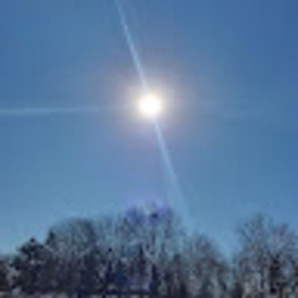 Profile Picture of A. Martin (@amartin7945) on Poshmark