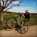 Profile Picture of Marlon Stehle (@marlon_mtb_92) on Instagram