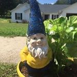 Profile Picture of Rusty (@rustyherrington) on Instagram