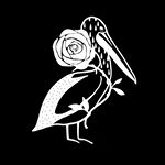 Profile Picture of D O M I N I Q U E (@thepelicanandtherose) on Instagram