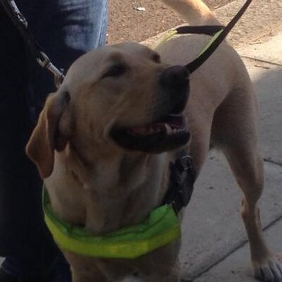 Profile Picture of Willow Davey (@WillowDavey) on Twitter