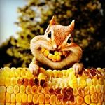 Profile Picture of Madison Rust (@madisonrust.20016) on Instagram