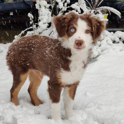 Profile Picture of Brandon Walrath (@WalrathBrandon) on Twitter