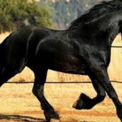 Profile Picture of Luis Merchan (@luismerchan15) on Twitter