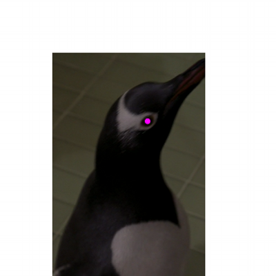 Profile Picture of Laurence_marcel (@laurencemarcel1) on Twitter