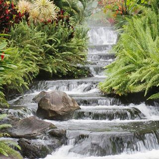 Profile Picture of Wayne Ingram (@wayne.ingram.186) on Facebook