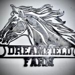 Profile Picture of Jeremy Sides (@dreamfieldfarmnc) on Instagram
