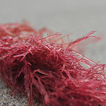 Profile Picture of Daniela Rodriguez (@dani..ela..) on Flickr