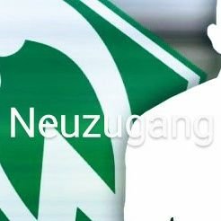 Profile Picture of Tom Qu (@werderbani) on Twitter