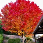 Profile Picture of Howard Cummins (@howard.cummins.9) on Facebook