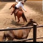 Profile Picture of José Armengol Rabelo (@josearmengolr) on Instagram