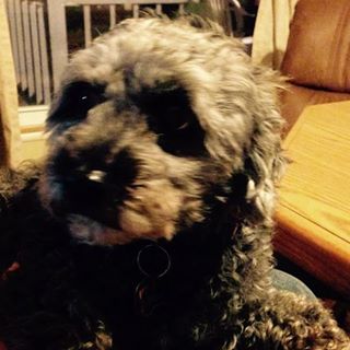 Profile Picture of Phyllis Goodman (@phyllis.goodman.10) on Facebook