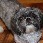 Profile Picture of Harold Schmidt (@schmidt.harold) on Instagram