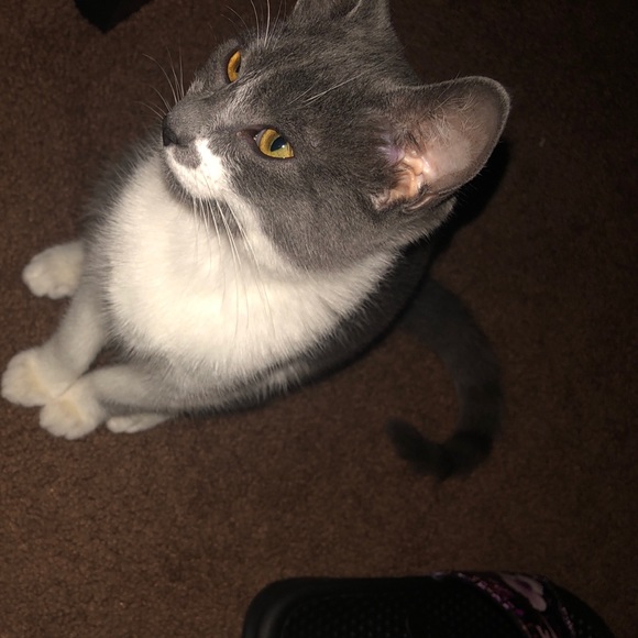 Profile Picture of Amber Jimenez (@amber1816) on Poshmark