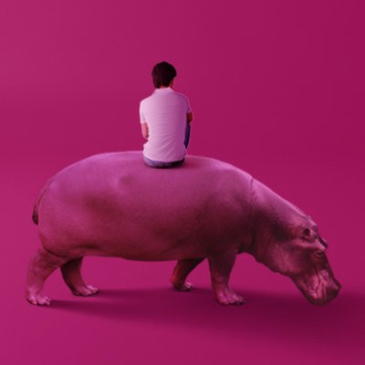 Profile Picture of The Hippopotamus (@HippoTheMovie) on Twitter