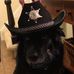 Profile Picture of Scott Falkenberg (@scott.falkenberg.16) on Facebook