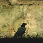 Profile Picture of Daniel Coville (@danieljamescoville) on Instagram