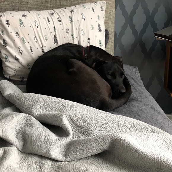 Profile Picture of Christian Reitler (@hwy1south) on Poshmark