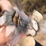 Profile Picture of Leah  Ollman (@leahollman) on Instagram