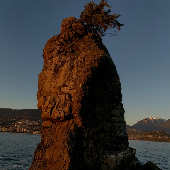 Profile Picture of Lucia Tovar (@lucia_tovar) on Poshmark