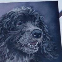 Profile Picture of Deb Mason (@deb-mason-16) on Quora