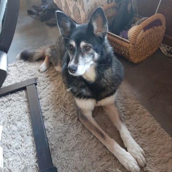 Profile Picture of Matthew Denny (@matthewdenny708) on Poshmark