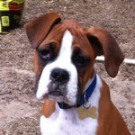 Chris Hewitt - Instagram Profile Picture of Chris Hewitt (@chewitt85) on Instagram