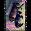 Profile Picture of Tracey Stone (@traceystone7) on Tiktok