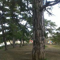 Profile Picture of Ebru Yildirim (@ebru-yildirim-4) on Quora