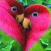 Profile Picture of Ayoub Peter (@ayoubpeter) on Pinterest