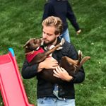 Profile Picture of Erik Witzel (@heywitz) on Instagram