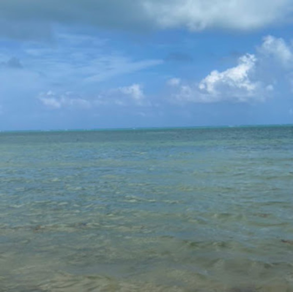 Profile Picture of Brianna Wall (@briwall1233) on Poshmark