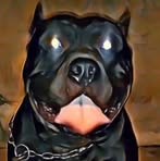 Jason Ramos - Facebook Profile Picture of Jason Ramos (@jason.ramos.197510) on Facebook