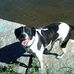 Profile Picture of Mary Raymond Sevland Beals (@mary.raymondsevlandbeals) on Facebook