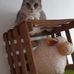 Profile Picture of Nancy Behrens (@nancy.behrens.581) on Facebook