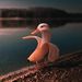 Profile Picture of corey waldner (@wimberdoo) on Pinterest