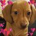 Profile Picture of Jennifer Schumacher (@jennifer.schumacher.121) on Facebook