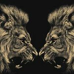 Profile Picture of Lee Lynch (@lee.lynch.9085) on Instagram