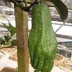 Profile Picture of Hassan Abdelwahid (@hassanabdelwahid) on Instagram