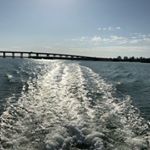 Profile Picture of Rena McClellan (@malandmax) on Instagram