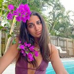 Profile Picture of Erika Brikho (@ebrikho) on Instagram