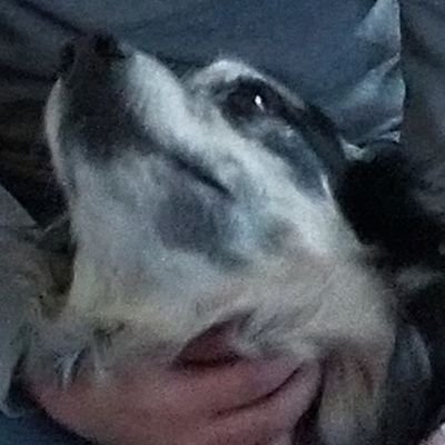 Profile Picture of Gillian From Cabin 6 Athena (@Gillian96414803) on Twitter