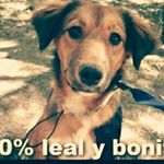 Profile Picture of karla maria saca (@karlamariasaca) on Instagram