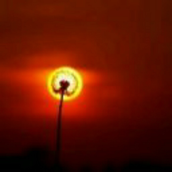 Profile Picture of Paige Horton (@phortz) on Poshmark