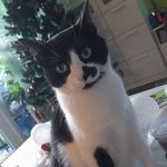 Profile Picture of Laura Niehaus (@laura.niehaus) on Instagram